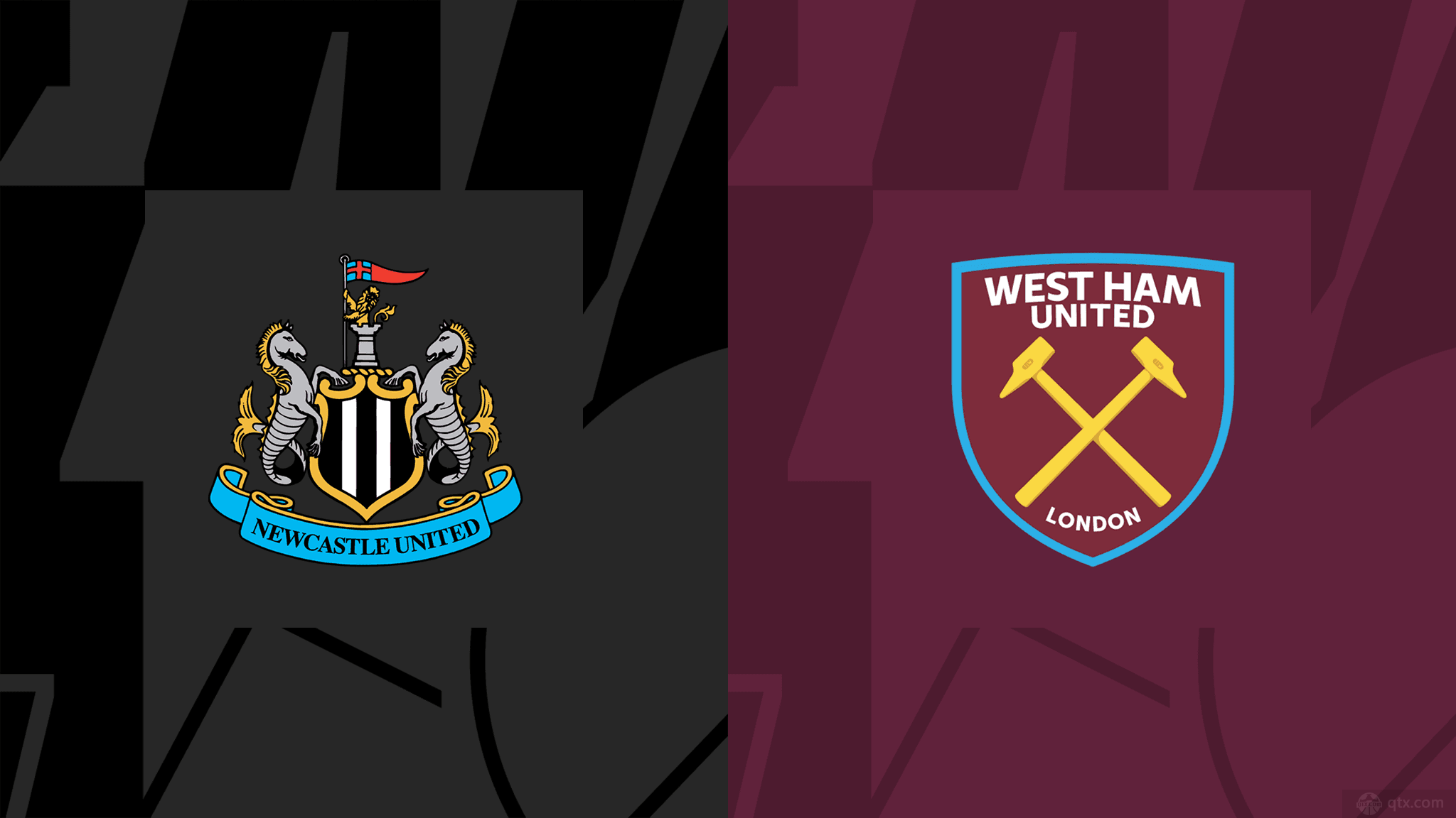 是灰熊屡次 是灰熊屡次