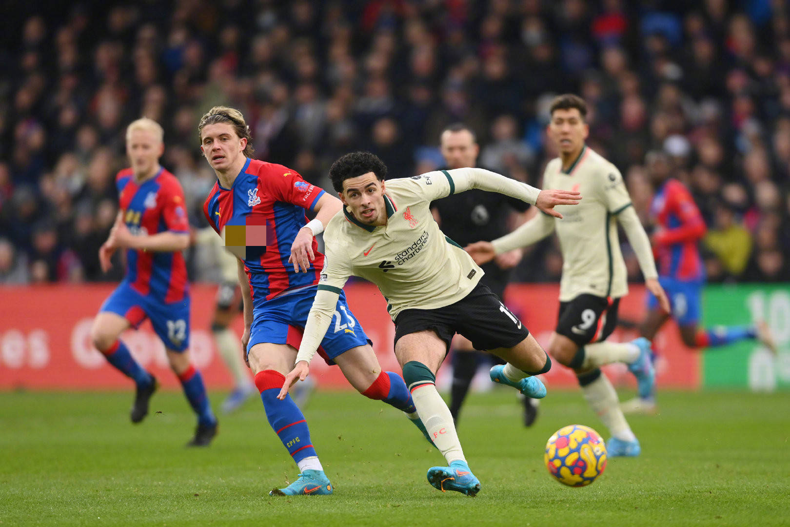 的团结努力 的团结努力