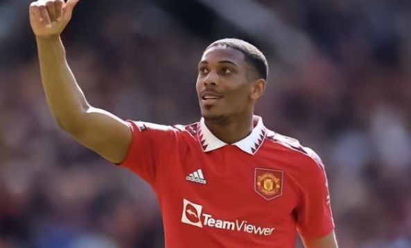 明了自己 明了自己